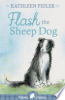 Flash_the_Sheep_Dog